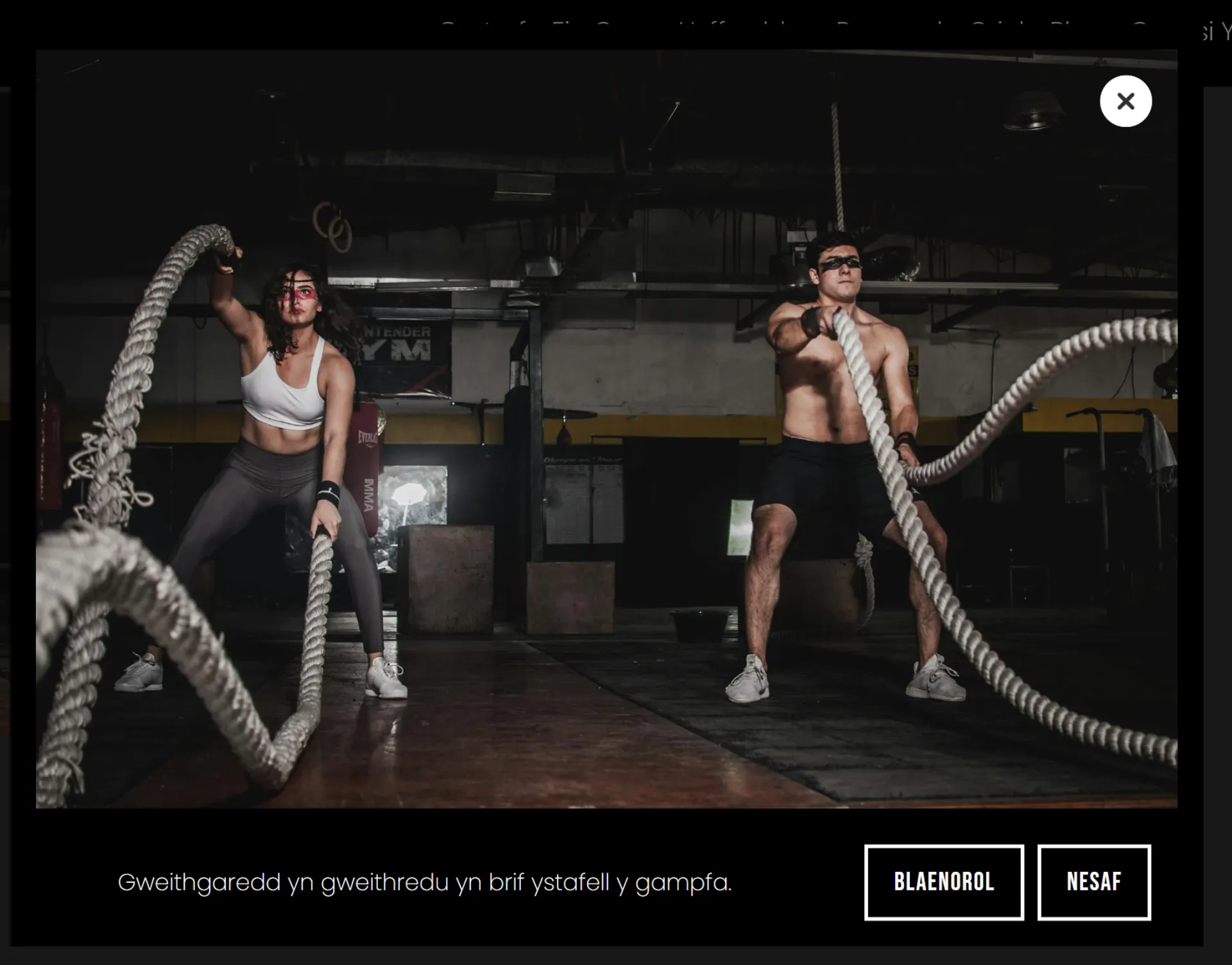 Esiampl o oriel rhygweithiol.