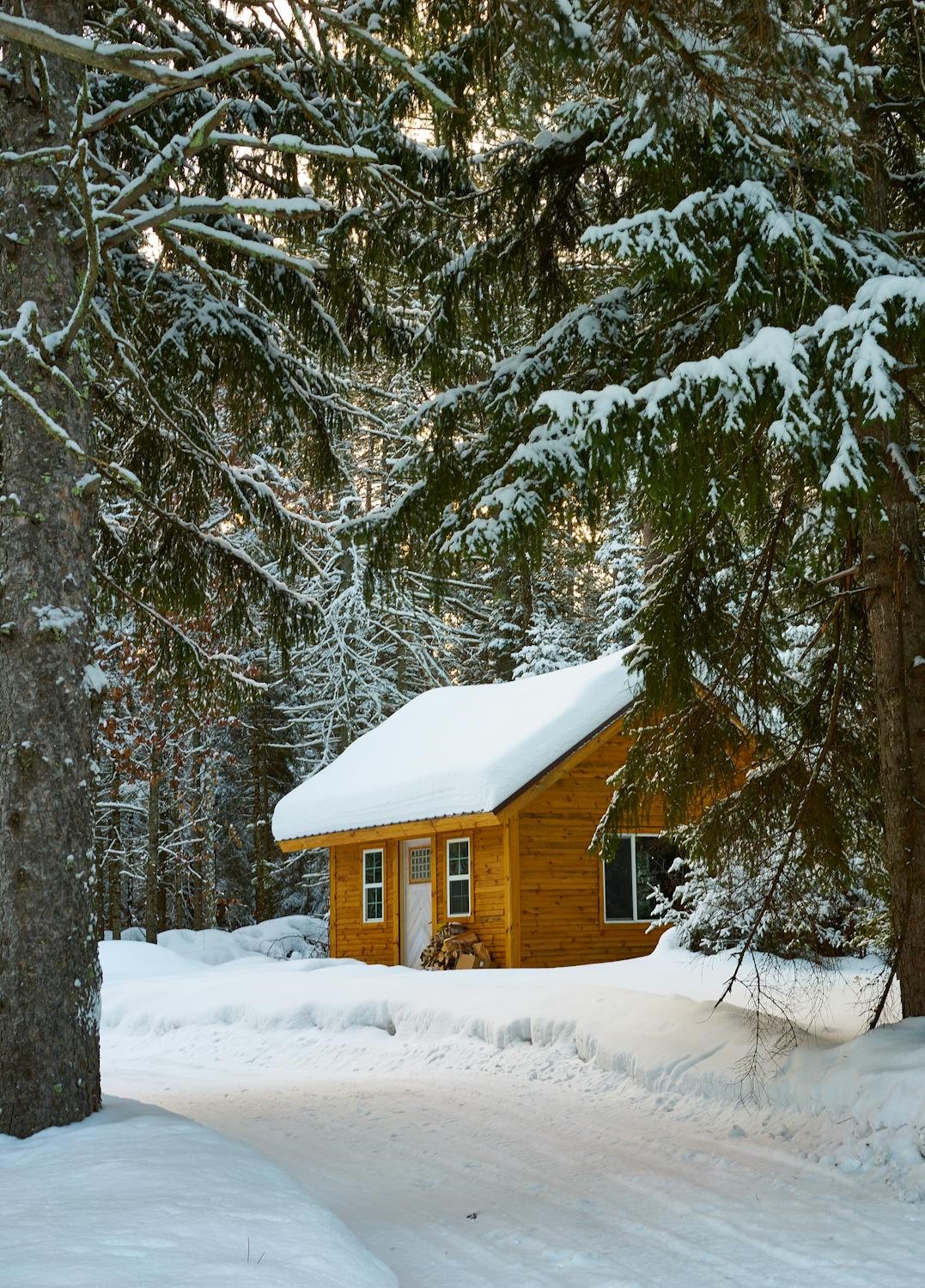 Splash Yellow Hut.